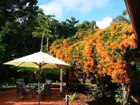 African Cottage, The Rondawel, Kalahari Cottage And Cape Cottage - VIC Tourism 0